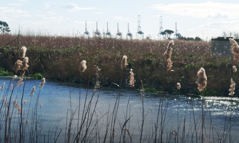 Fiume Tara Taranto